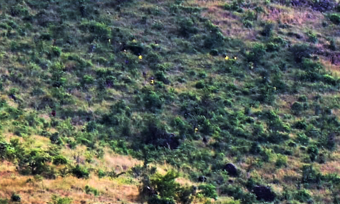 Army deploys helicopter gunship as over 60 inmates break out of Moroto Prison Army deploys helicopter gunship as over 60 inmates break out of Moroto Prison