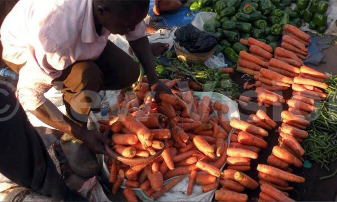 Now we know why carrots are orange Now we know why carrots are orange