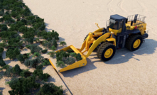 VDT evacuation method (sod removal).