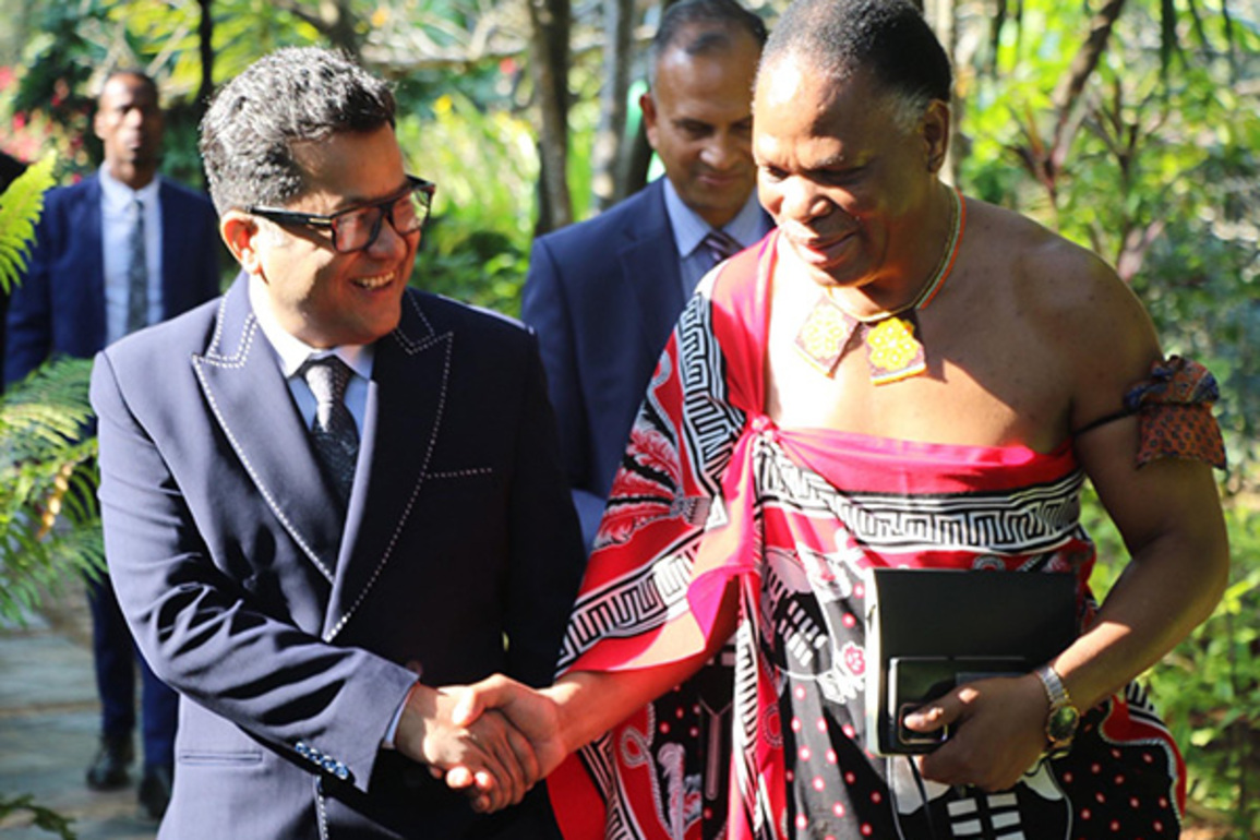 MoS Margherita holds talks with Eswatini's Min of Natural Resources and Energy