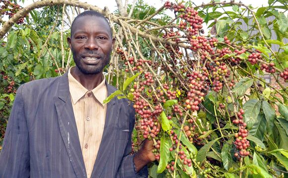 Ronald Kyobe ng'alaga emmwanyi ze. Ebifaananyi bya Ssennabulya Baagalayina Ronald Kyobe ng'alaga emmwanyi ze. Ebifaananyi bya Ssennabulya Baagalayina