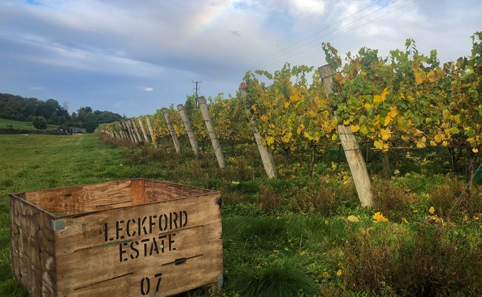 Waitrose vineyard and orchard first in UK to achieve nature-friendly farming certification