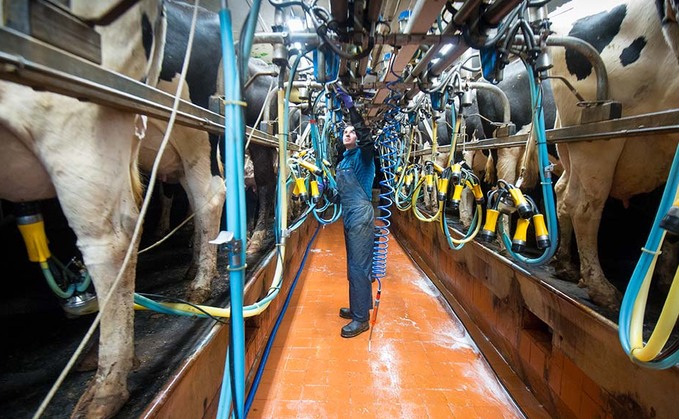 Weighing up once-a-day milking