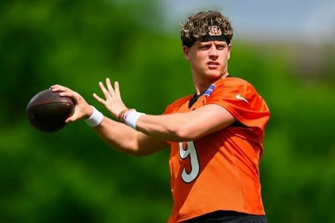 Bengals Roster Look Ahead of Mandatory Minicamp