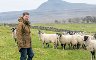 Sheep special: Disease management protocol delivers lameness improvement   