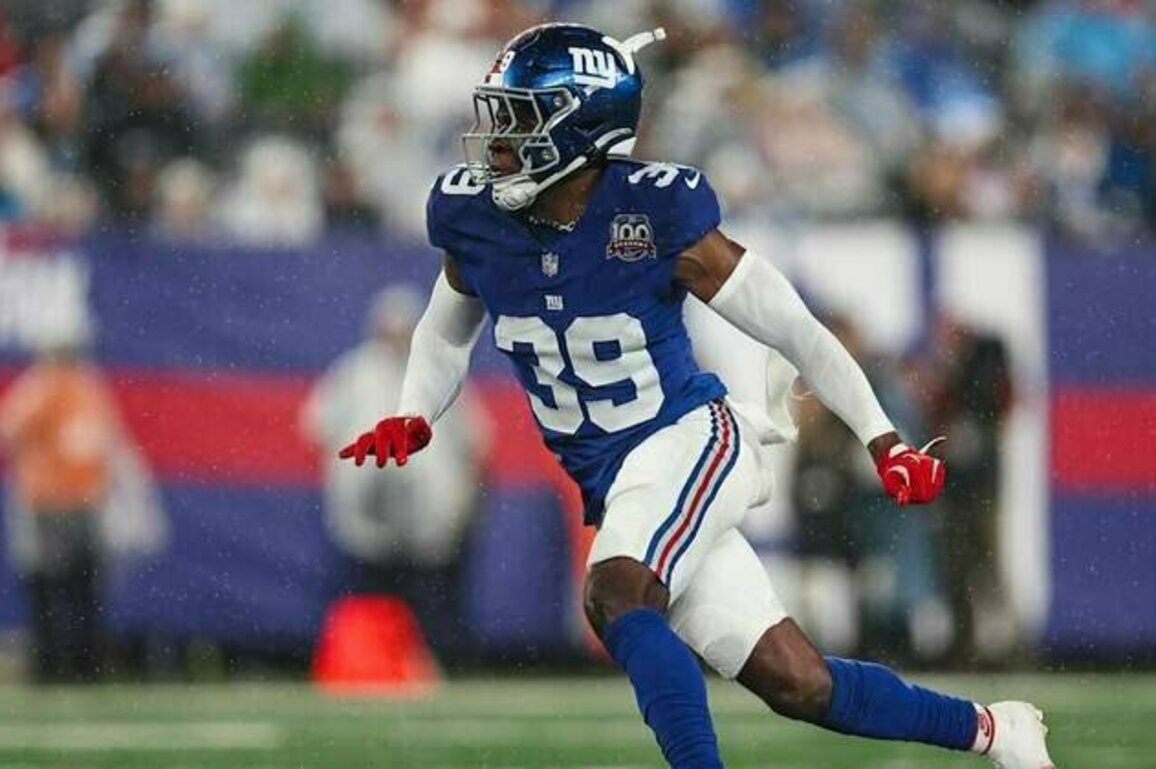Vikings Sign Safety Gervarrius Owens
