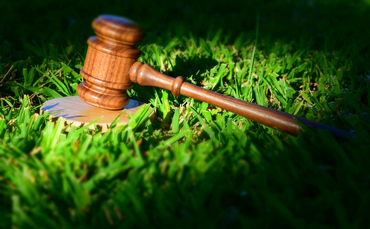 Study: More than three quarters of climate litigation cases have been filed since 2015