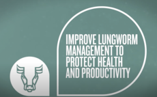 Improve lungworm management to protect health and productivity