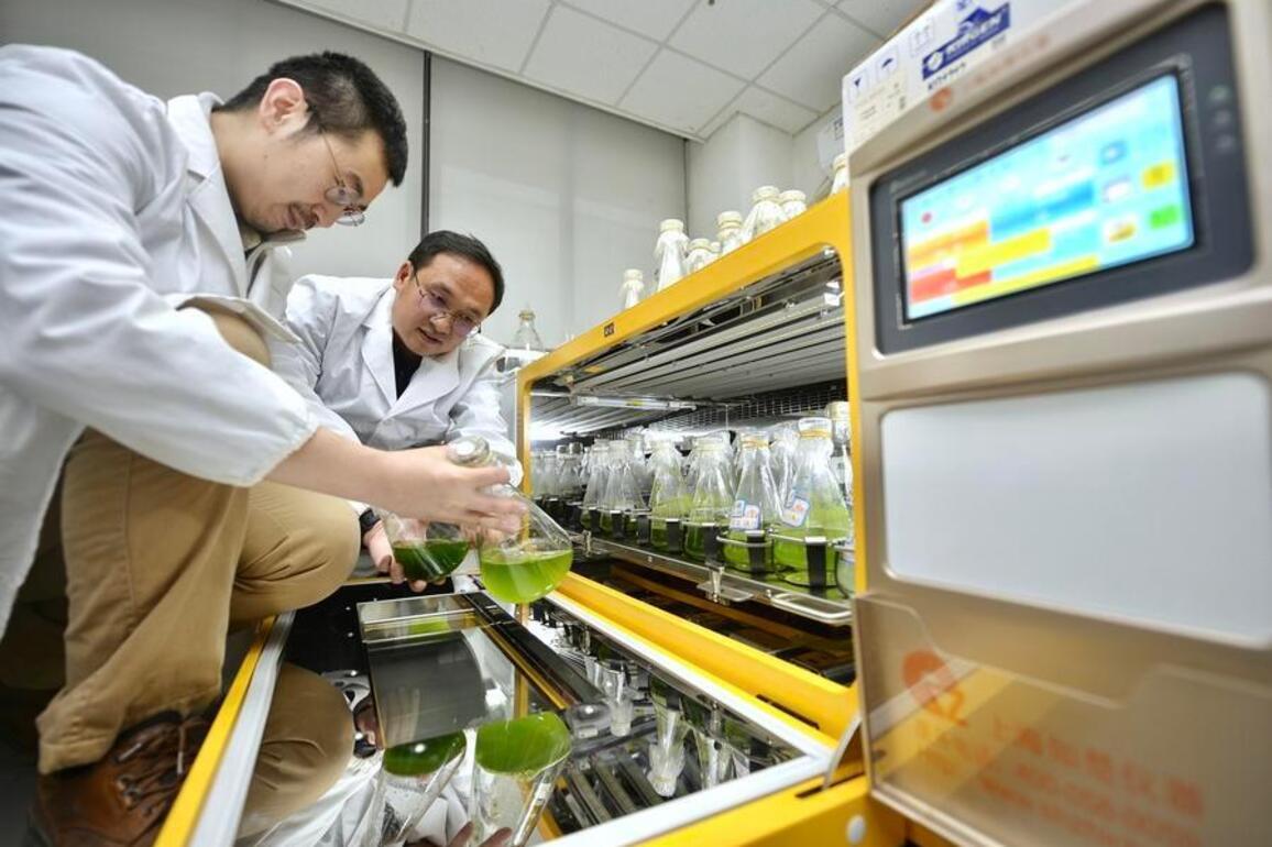 China pivots to biology in quest for improved manufacturing