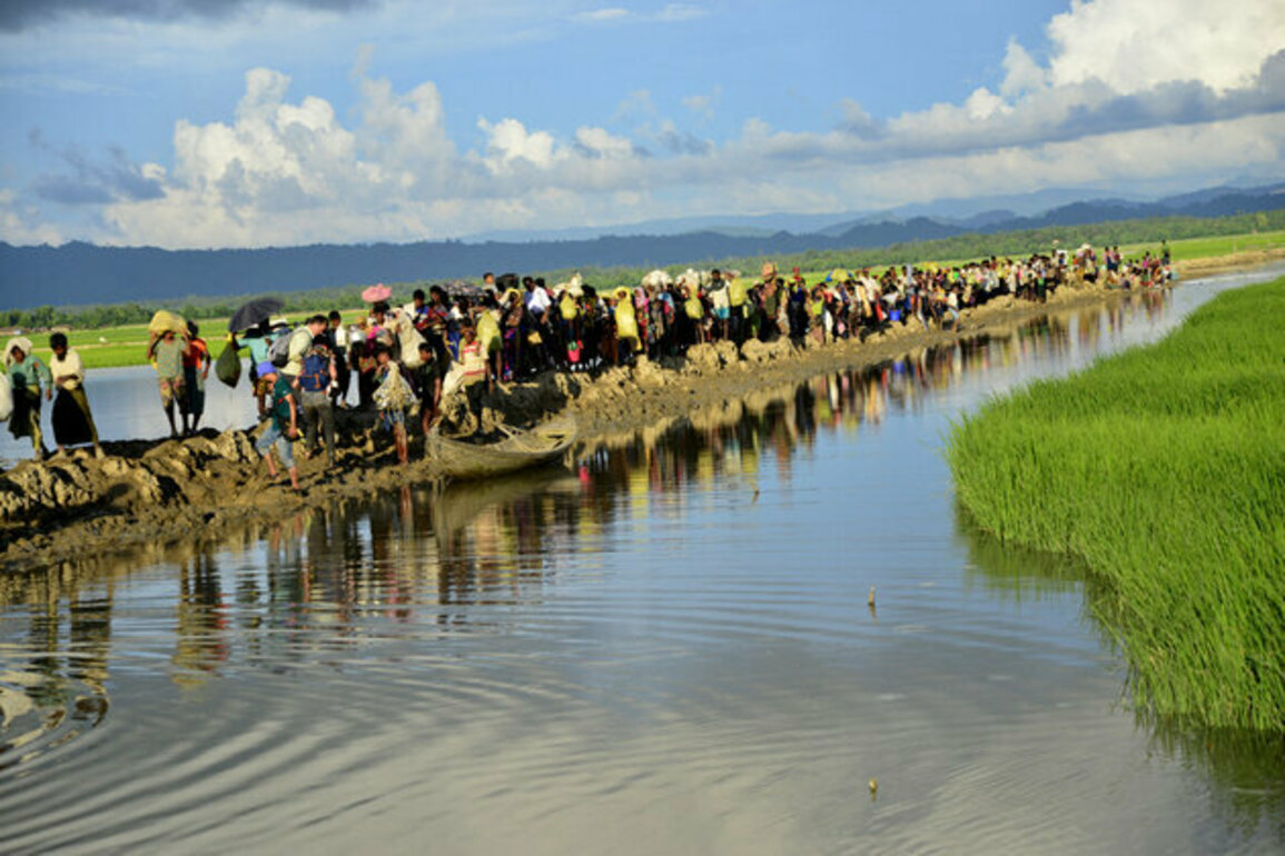 Now, strategic steps needed for the Rohingya repatriation