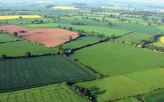 Number of English farms down a quarter since 2005