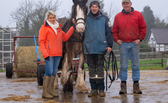 Didy Morgan, Alan Phillips and Paddy Fives pictured with the farm's carthorse Millie