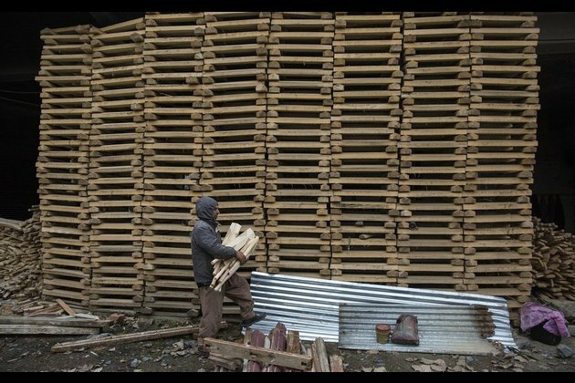 Asia Album: Cricket bat factory in Indian-controlled Kashmir