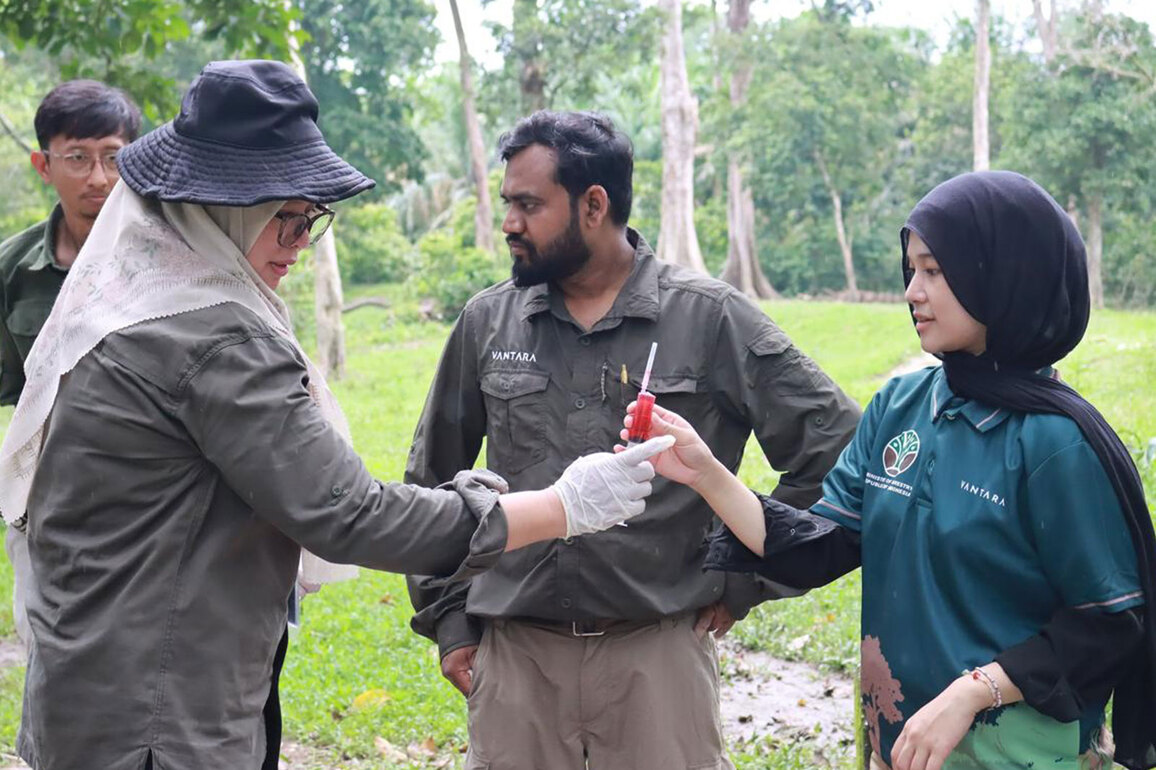 Indonesia engages Vantara's expertise to curb elephant deaths from EEHV
