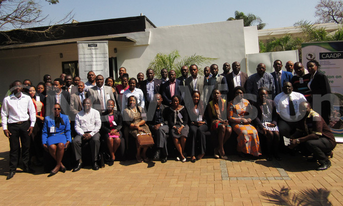 AU to streamline communication on agricultural commitments AU to streamline communication on agricultural commitments