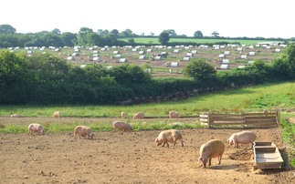 Have your say on the future of the Farm Business Newsletter