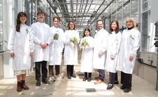 QuberTech secures funding boost for solution that promises to turn dandelions into sustainable rubber