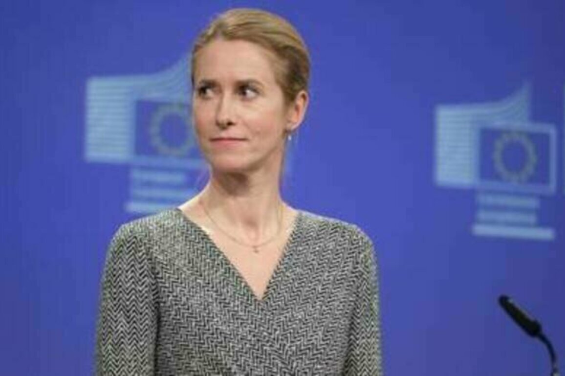 Ukrainian corruption scandal 'extremely unfortunate' - EU's Kallas
