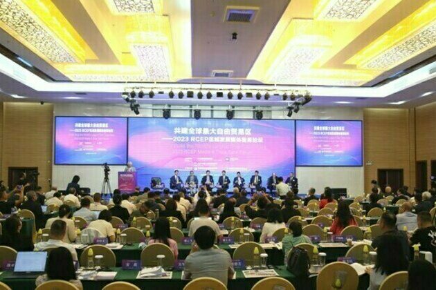 Hainan expected to give full play to RCEP's role