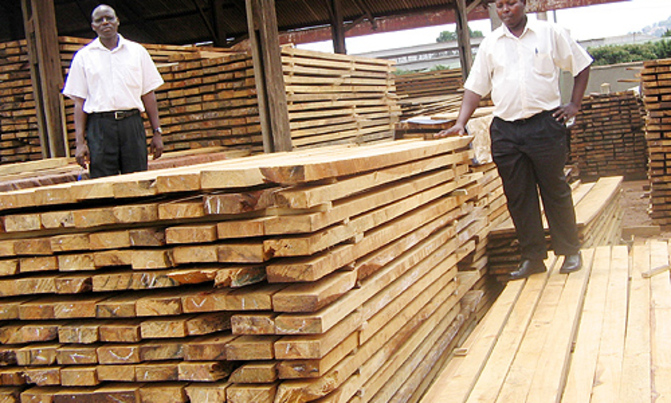 Timber auction for closed bidding Timber auction for closed bidding