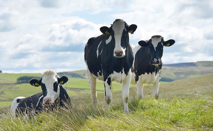 VIDEO: Dairy UK launches campaign to 'celebrate' successes on sustainability