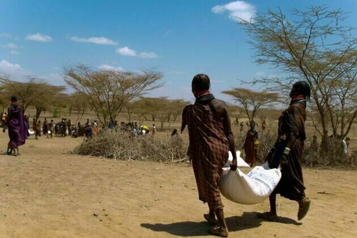 Economic sanctions need a rethink: evidence shows they raise food prices and hurt the poor most