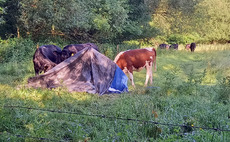 Landowners lose appeal to stop backpack camping on the Dartmoor commons