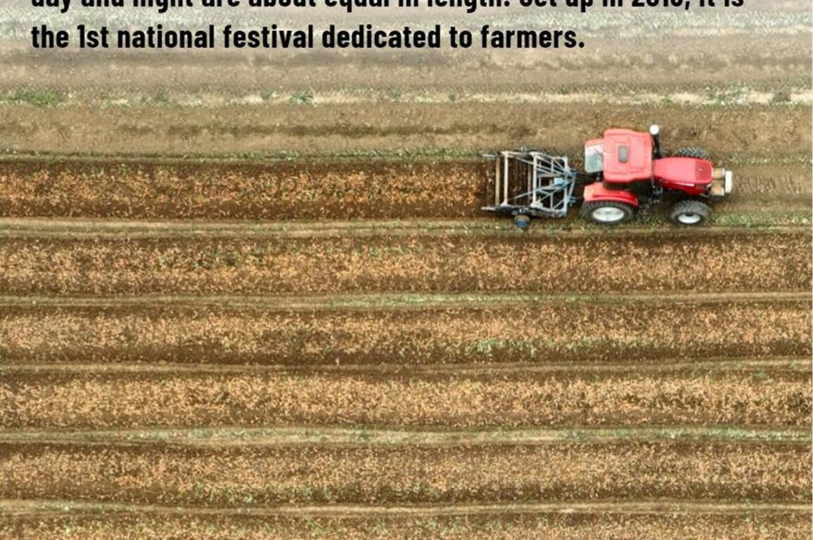 Chinese farmers' harvest festival: When, why and how?
