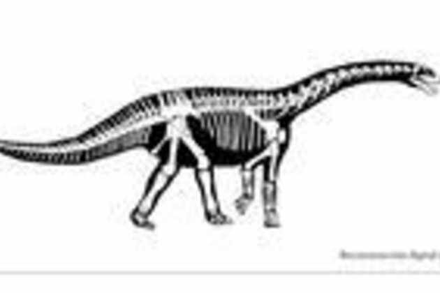 Colombia&#039;s dinosaur of peace