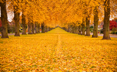 The year that was 2010: Cold weather fails to put freeze on recovery