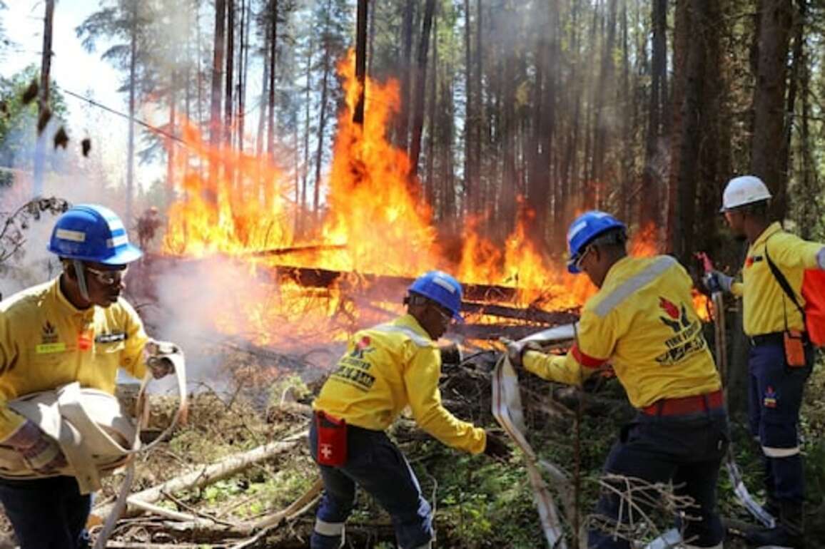 New wildfire protection teams to serve at-risk Alberta municipalities