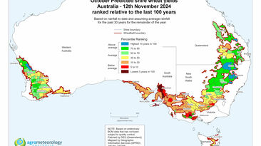 Dry finish sees wheat yields slip across Australia's mainland 