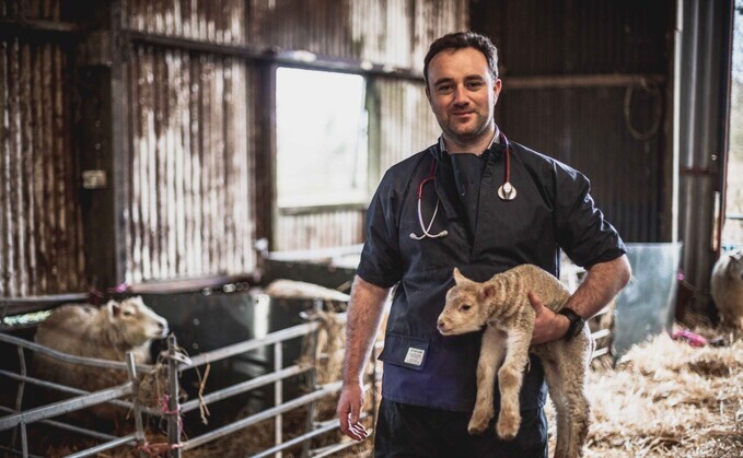 Winchester MP and vet Danny Chambers has set out four steps to help the Government deal with bluetongue