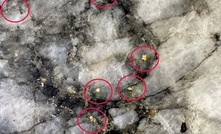 M260 expands drilling after Bullabulling gold bonanza 