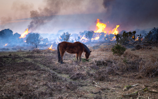 WMO: World set to face yet more record hot years this decade