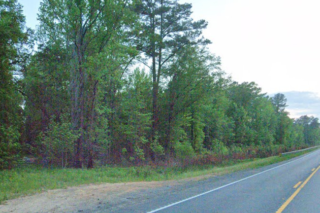 Woman Rescued After Allegedly Abducted By Man Posing As Cop On South Carolina Road  UK Crime