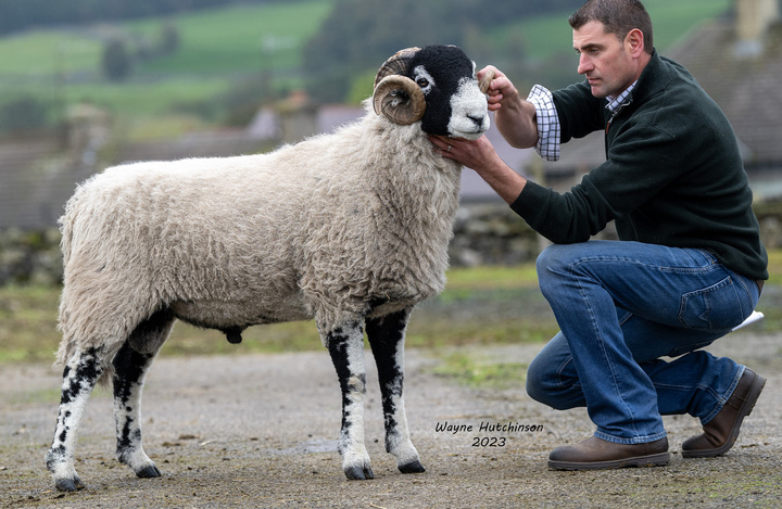 Stonesdale Naughty Boy