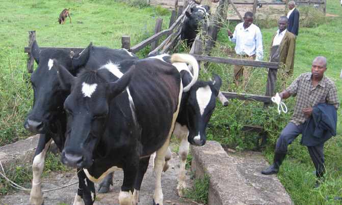 Uganda to benefit from $280m multi-donor agriculture fund Uganda to benefit from $280m multi-donor agriculture fund