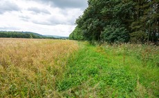 Arable tenders open for UKs first carbon negative estate