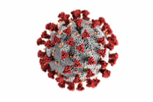 New research adds to understanding of genetic factors that naturally protect people from COVID-19