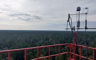 The view from the top of APRIL's greenhouse gas monitoring tower in Sumatra | Credit: Michael Holder