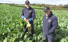 Forage focus key to business transformation