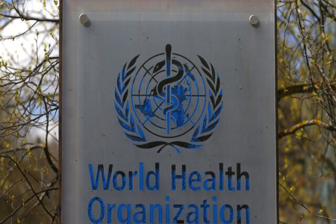 WHO urges collective action to tackle health threats at human-animal-environment interface on World One Health Day