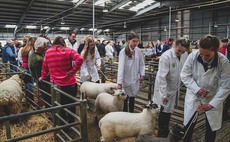 Farmer confidence at its lowest in three years