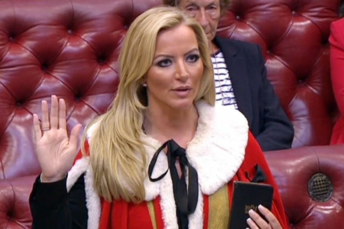David Cameron 'lost the plot' by making PPE scandal tycoon Michelle Mone a Tory peer