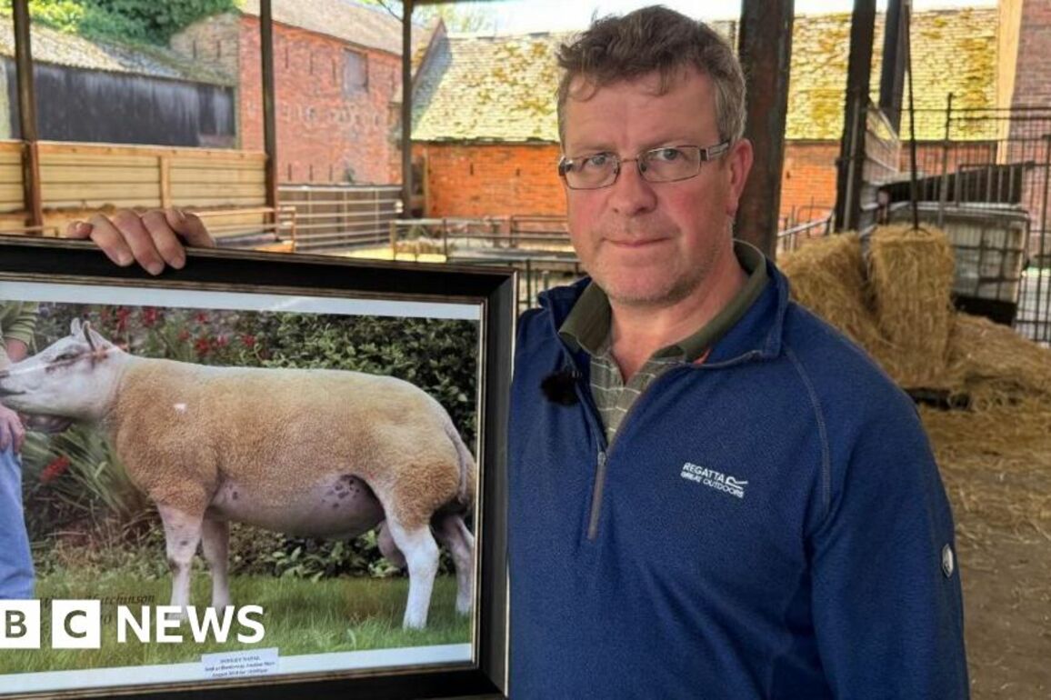 Polluted airport water 'destroyed my unborn lambs'