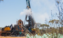  Widgie expects to find more nickel at Munda