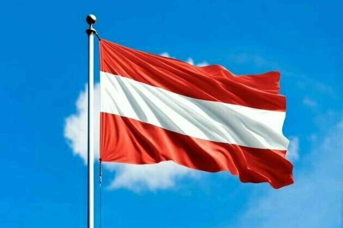 Over quarter of Austria's population has migrant roots: Statistics Austria