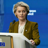 EU puts US counter-tariffs on hold