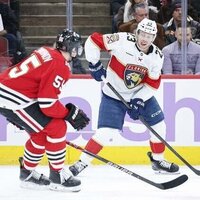Panthers test perseverance with visit to banged-up Blues